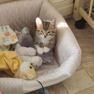 Meet your Posher, Helen